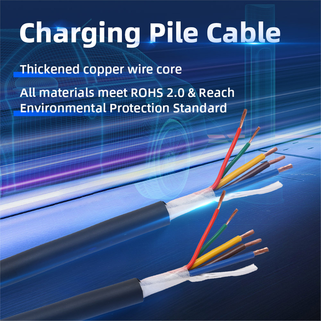 Electric Car Charging Cable