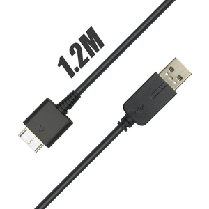 how to connect psp to pc with usb cable_1.jpg